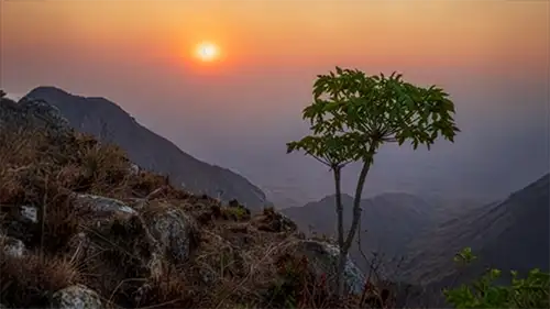 zomba massief
